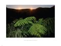 Perfect.Evenings.Sample.Page_.A
