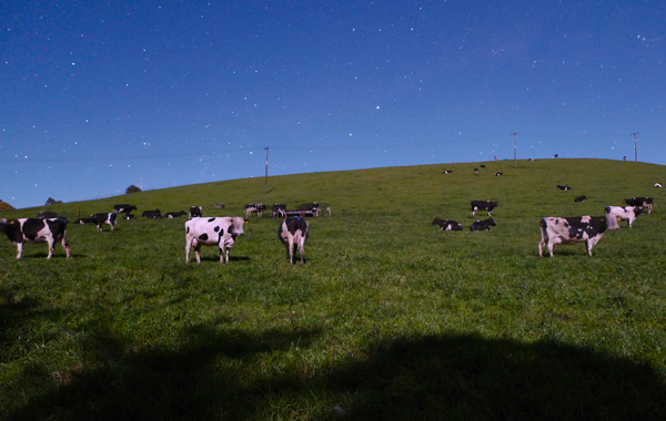 8. Rustic evening near Omata, Taranaki