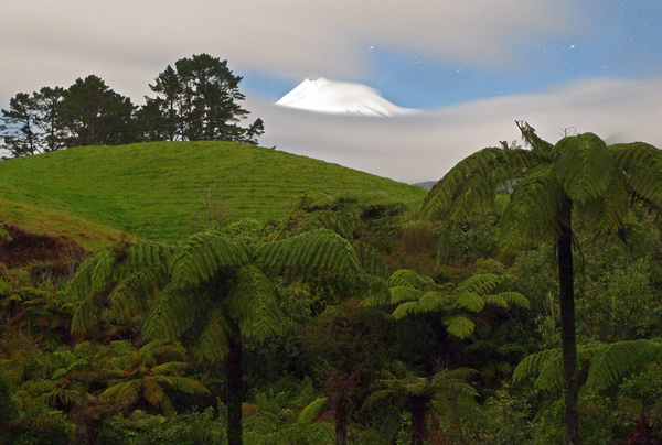 14. Moonlit mountain from Kent Rd, Taranaki