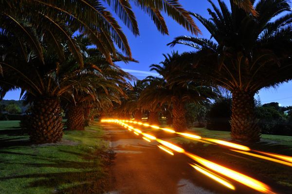 18. Pineapple Drive by moonlight, Waimarama, Hawkes Bay