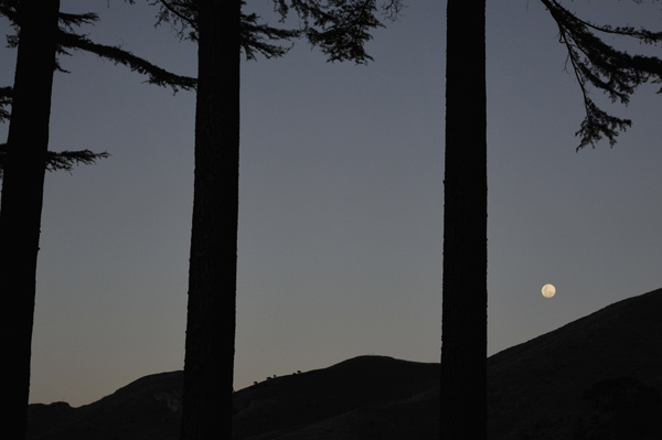 22. Te Mata moonrise, Hawkes Bay