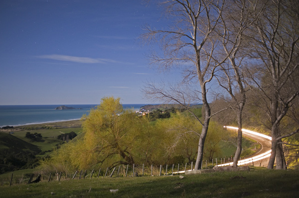 20. Spring willows and traffic from Waimarama, Hawkes Bay