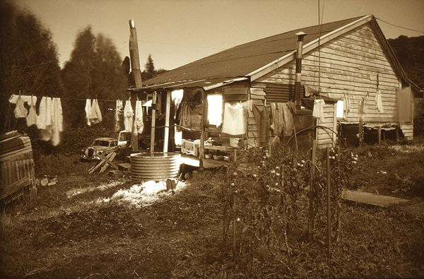 36. April evening, Woodstock, near Hokitika