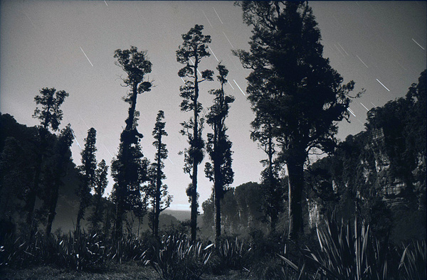 46. Bullock Creek moonlight, Punakaiki