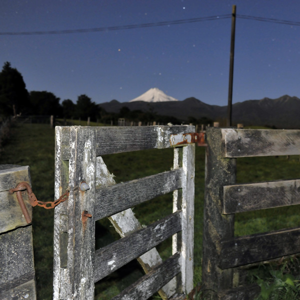 71. Stockyard gate at night, Koru