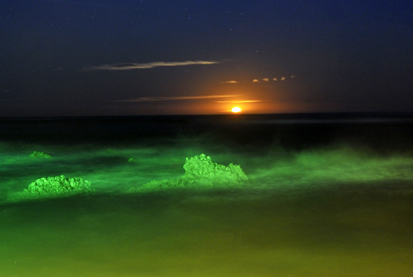 94. Kaikoura moonrise