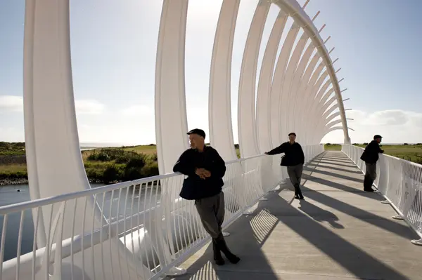 99. Moonlight multiplicity, Te Rewa Rewa