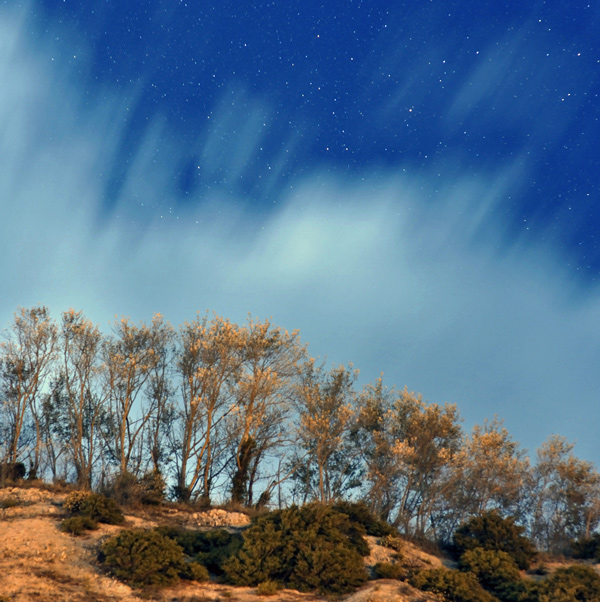 120. Midnight clifftop, Kaikoura