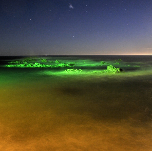 105. Night tide at Kaikoura