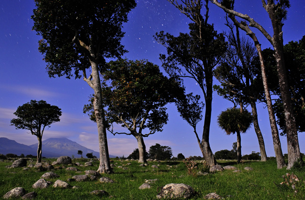 104. Stony landscape, Taranaki