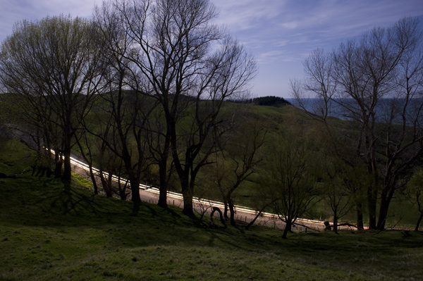 139. Hawkes Bay springtime, by moonlight