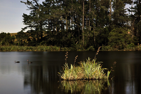 137. Moonlit lagoon, winter