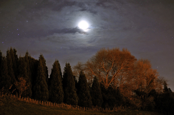 142. Crescent moon, winter evening