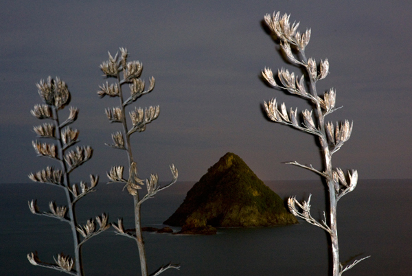 166. Frail mystic ships, Port Taranaki