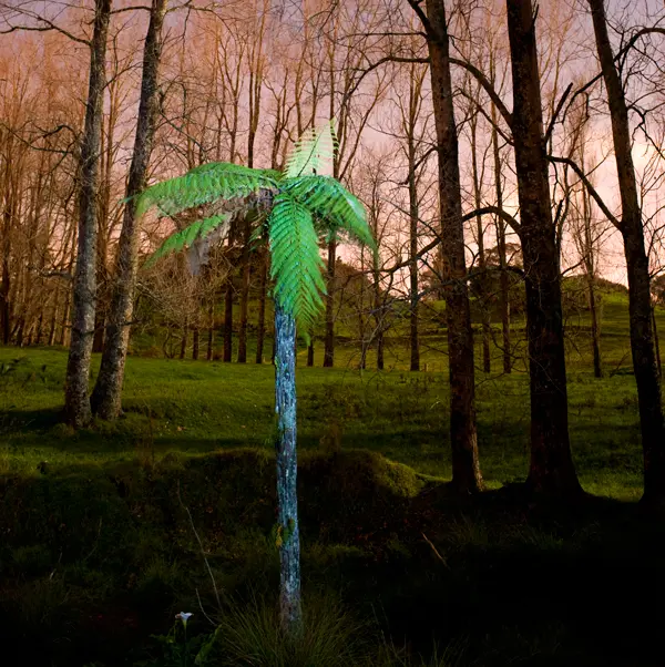 169. Fern and farm, autumn night