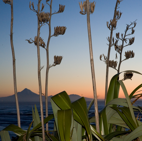 175. Mokau twilight