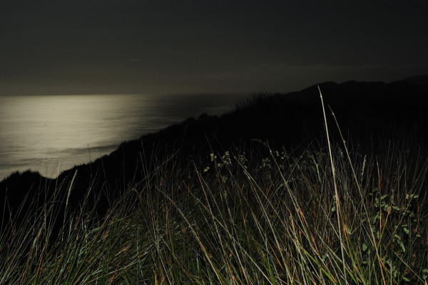 179. Moonlight from a hilltop