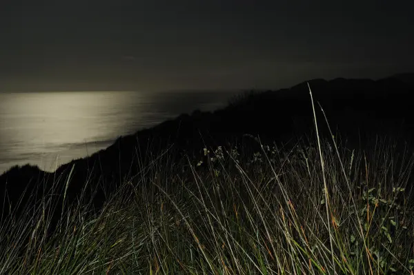 179. Moonlight from a hilltop