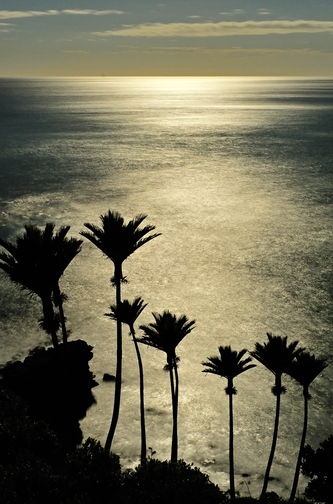 191. Ukelele evening, Golden Bay