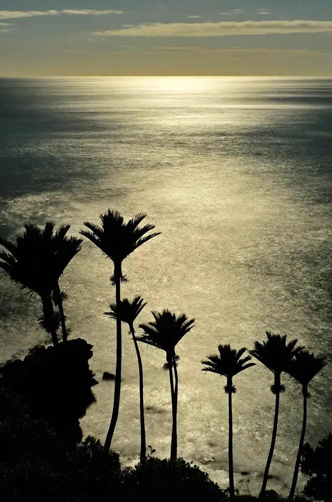191. Ukelele evening, Golden Bay