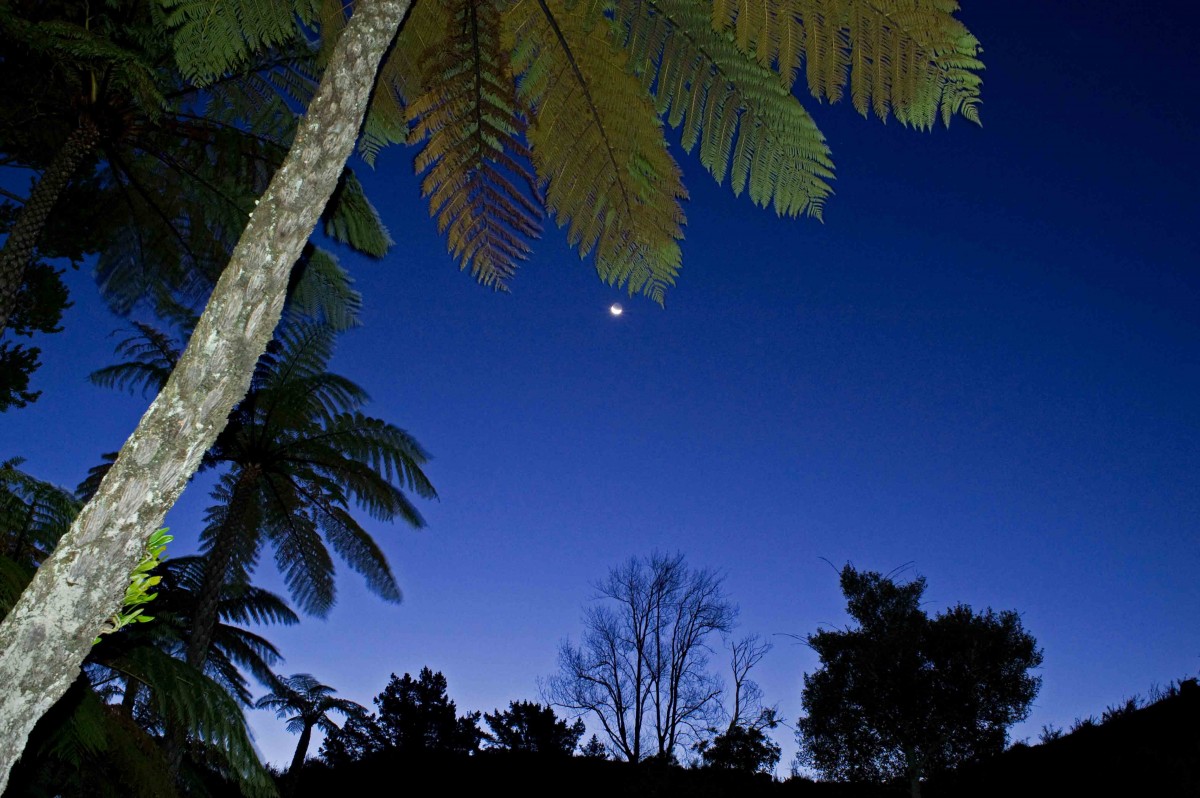 206. Taranaki evening, young moon