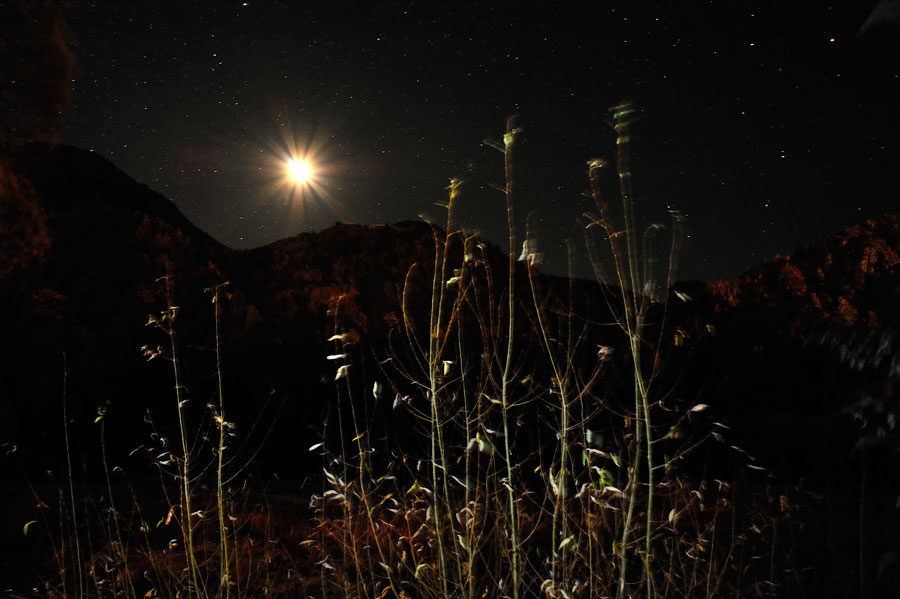 221. Target practice, Arrowtown