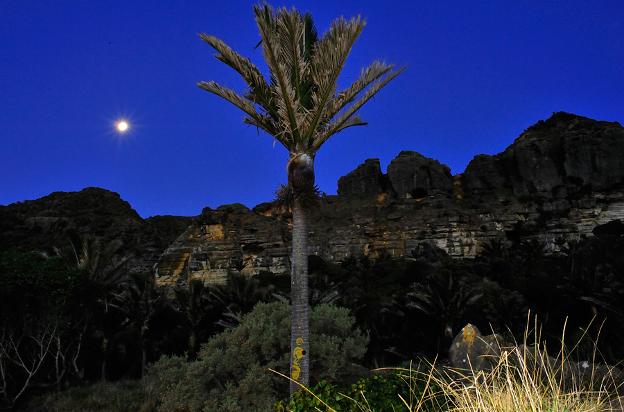 235. Moonrise over limestone, Westhaven Retreat