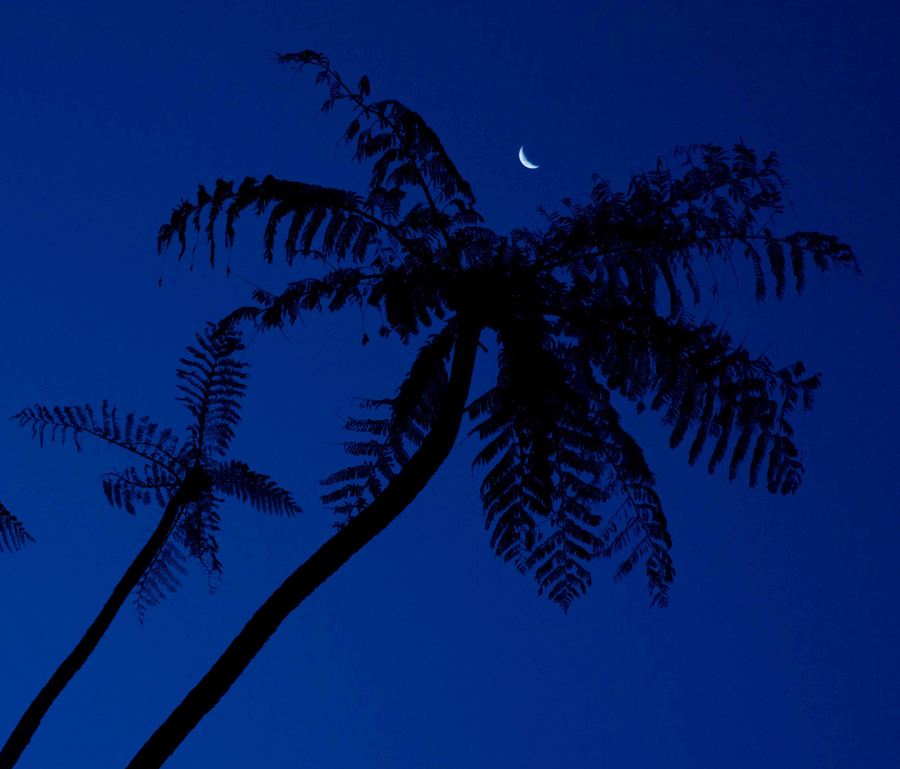 248. New moon in blue, Taranaki