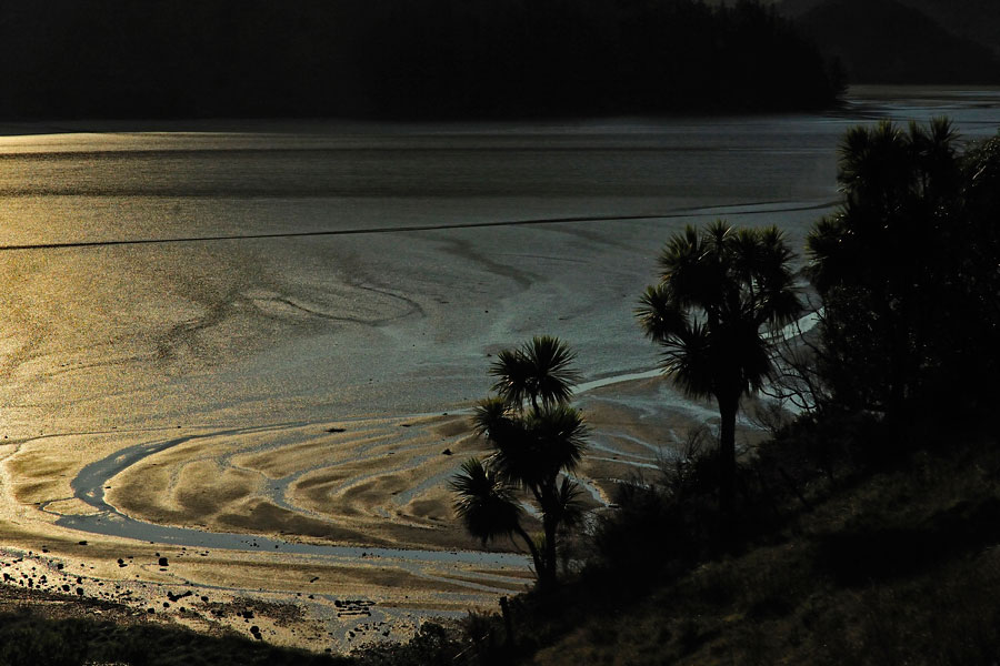 263. Cable Bay moonlight, Nelson