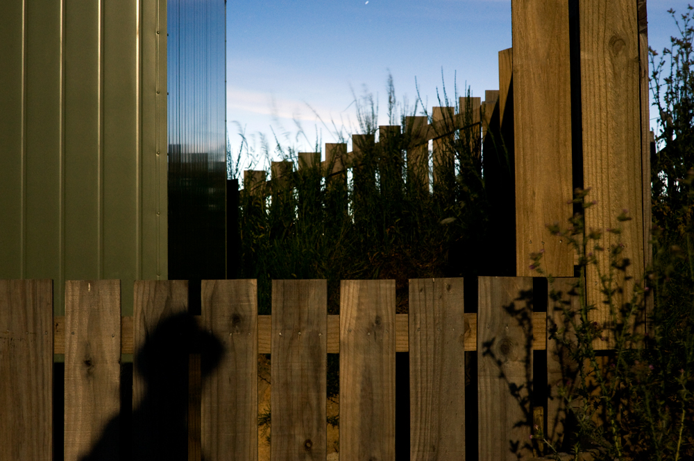 279. Nelson twilight, rising moon