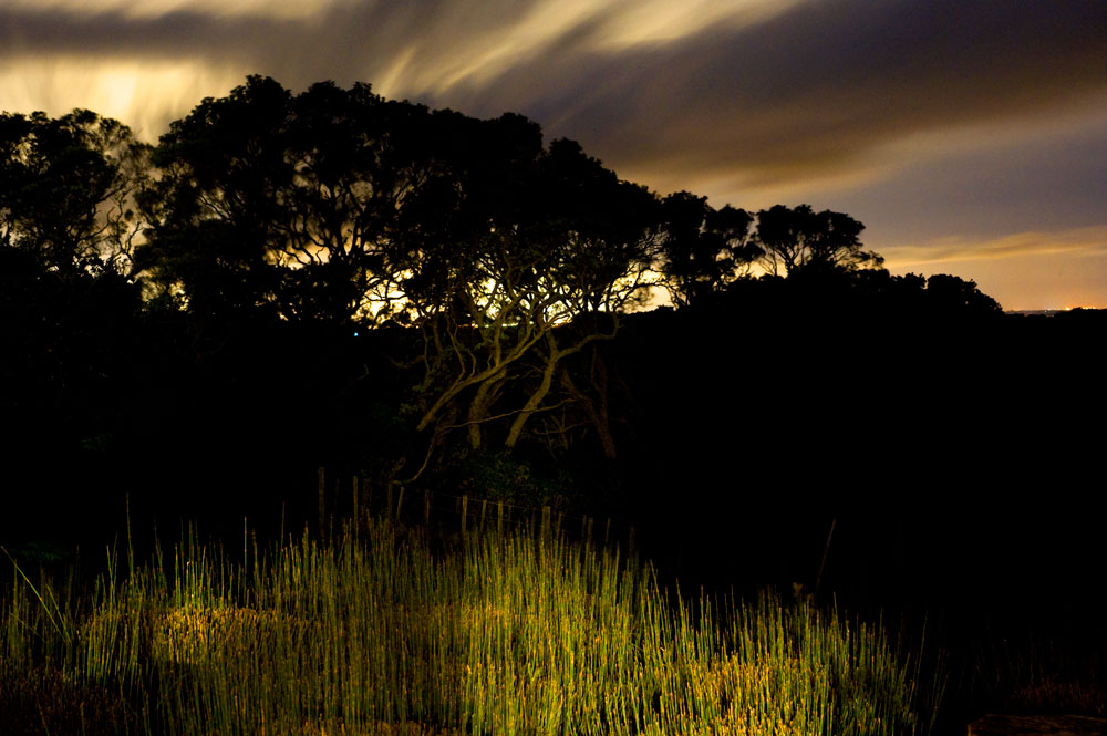 277. Summer evening, Waiuku