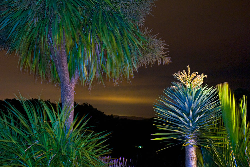 278. From the deck, Waiuku