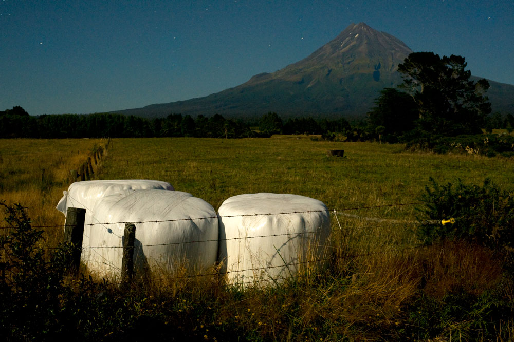 290. Just the ash, Taranaki