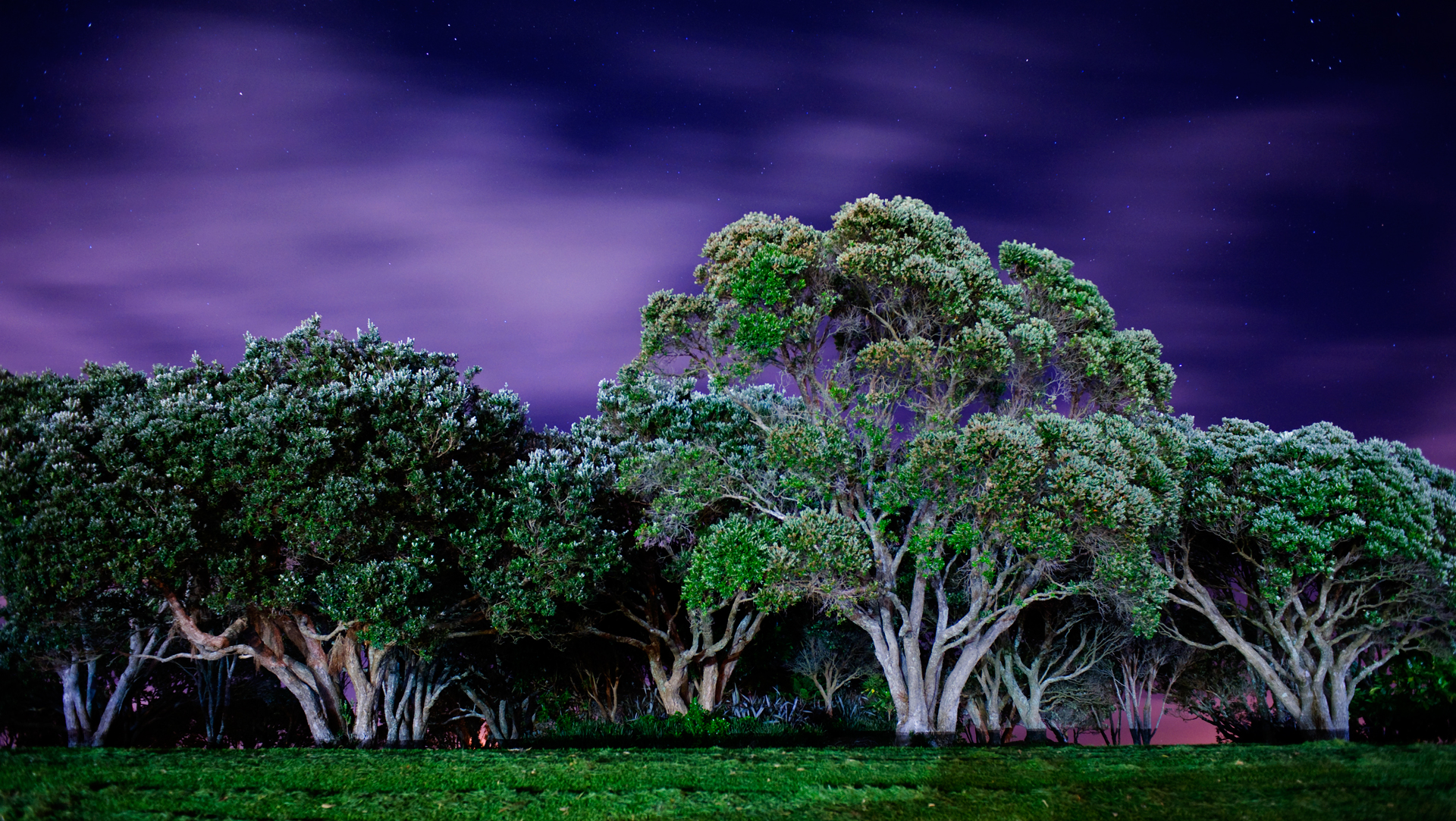 June 2013 Nightscapes