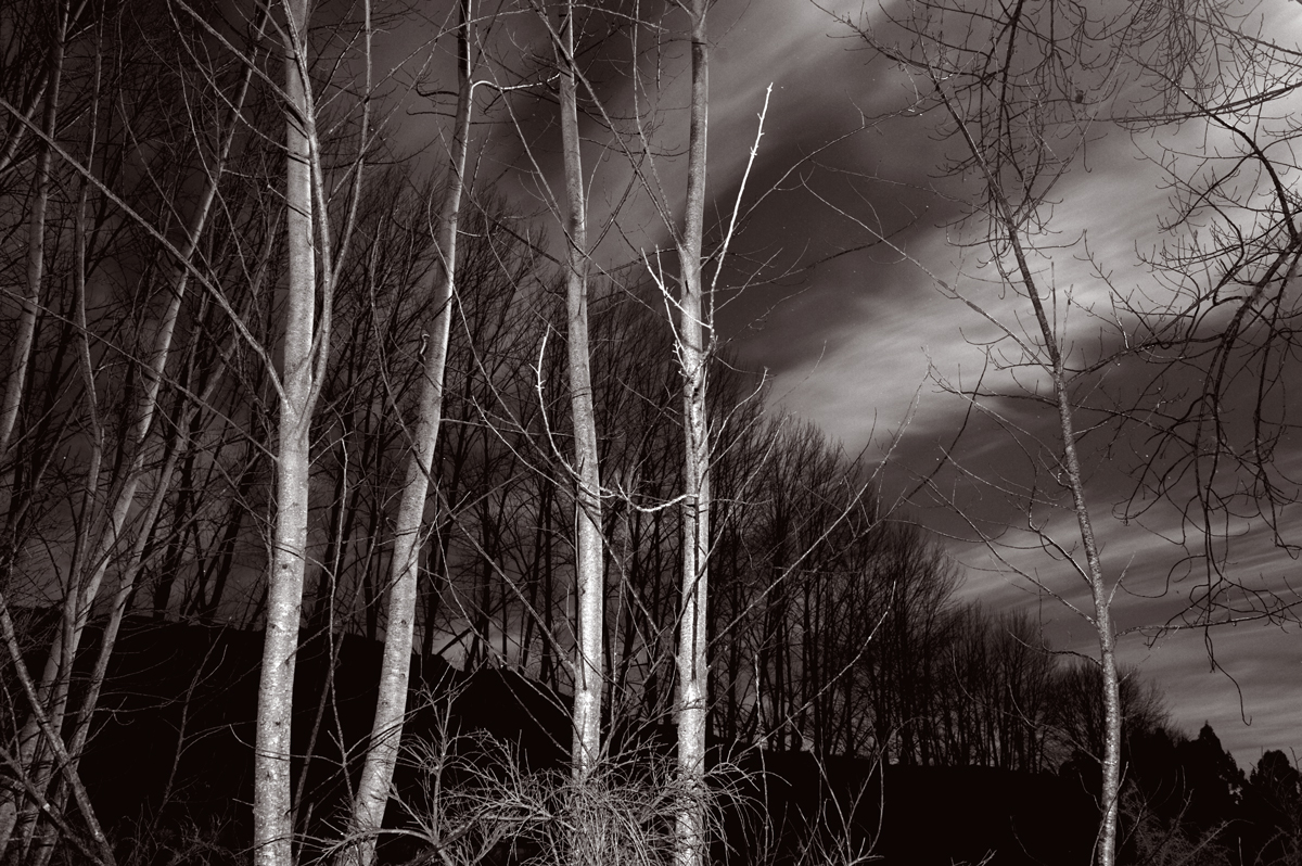 Winter roadside, moonlit mono