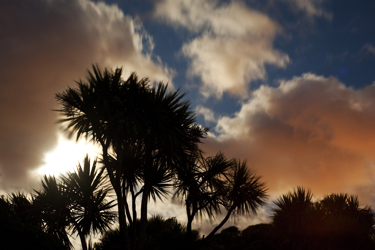 Te Rewa Rewa silhouettes