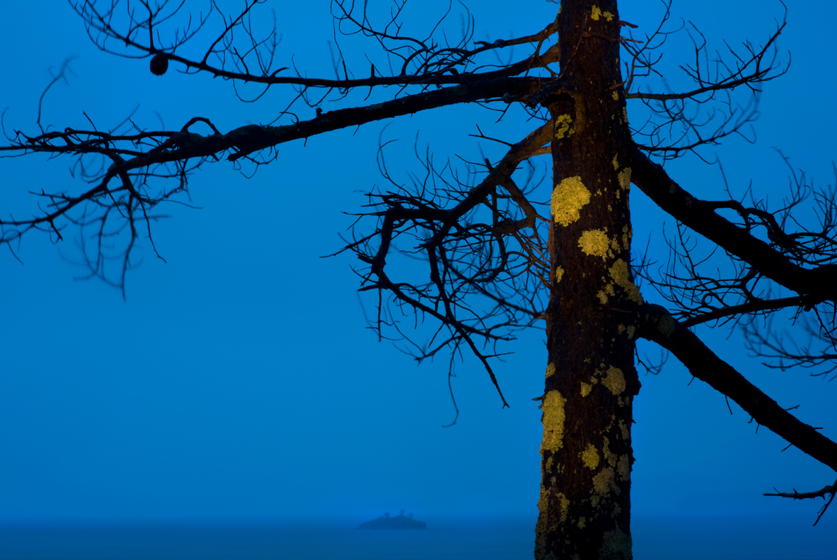 Wet evening, Whangarei Harbour