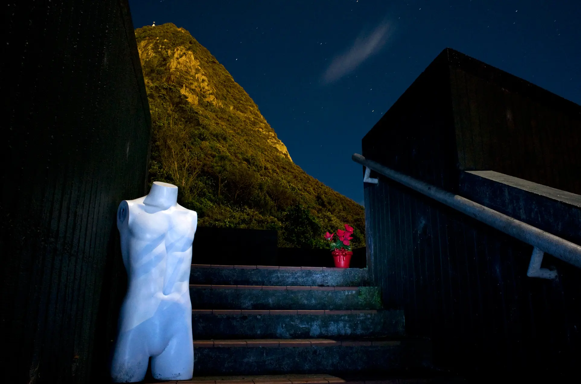 Bold sentry, Paritutu evening