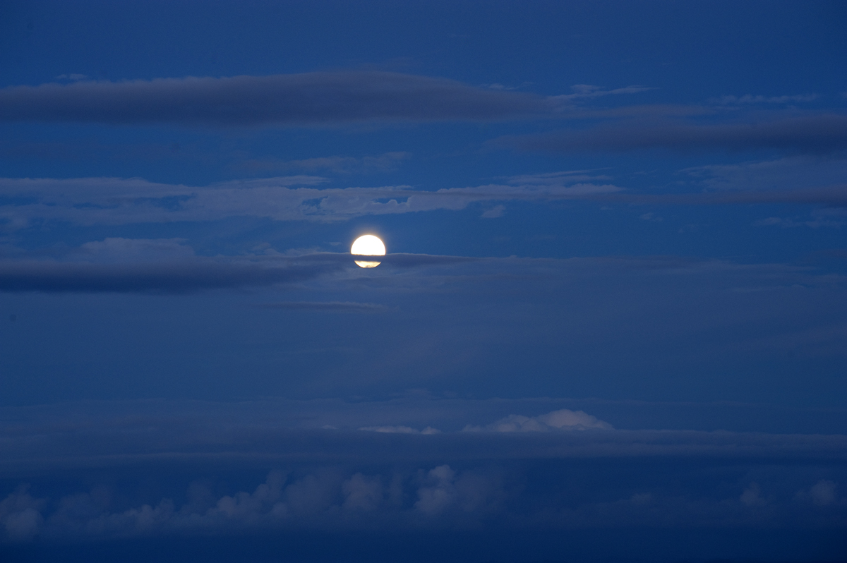 Summer moonrise