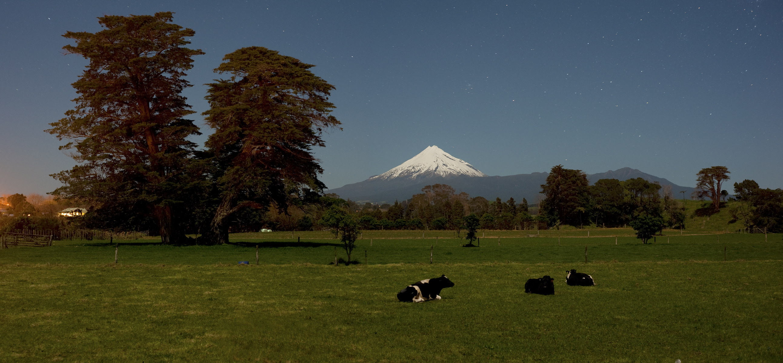 Moonlit margin, Taranaki