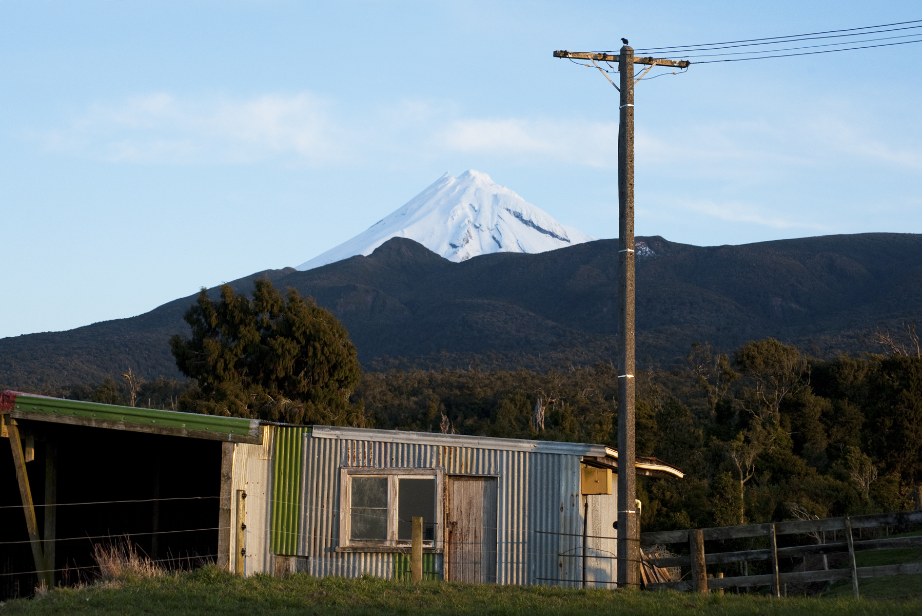 “She’s beaut”, on Carrington Rd