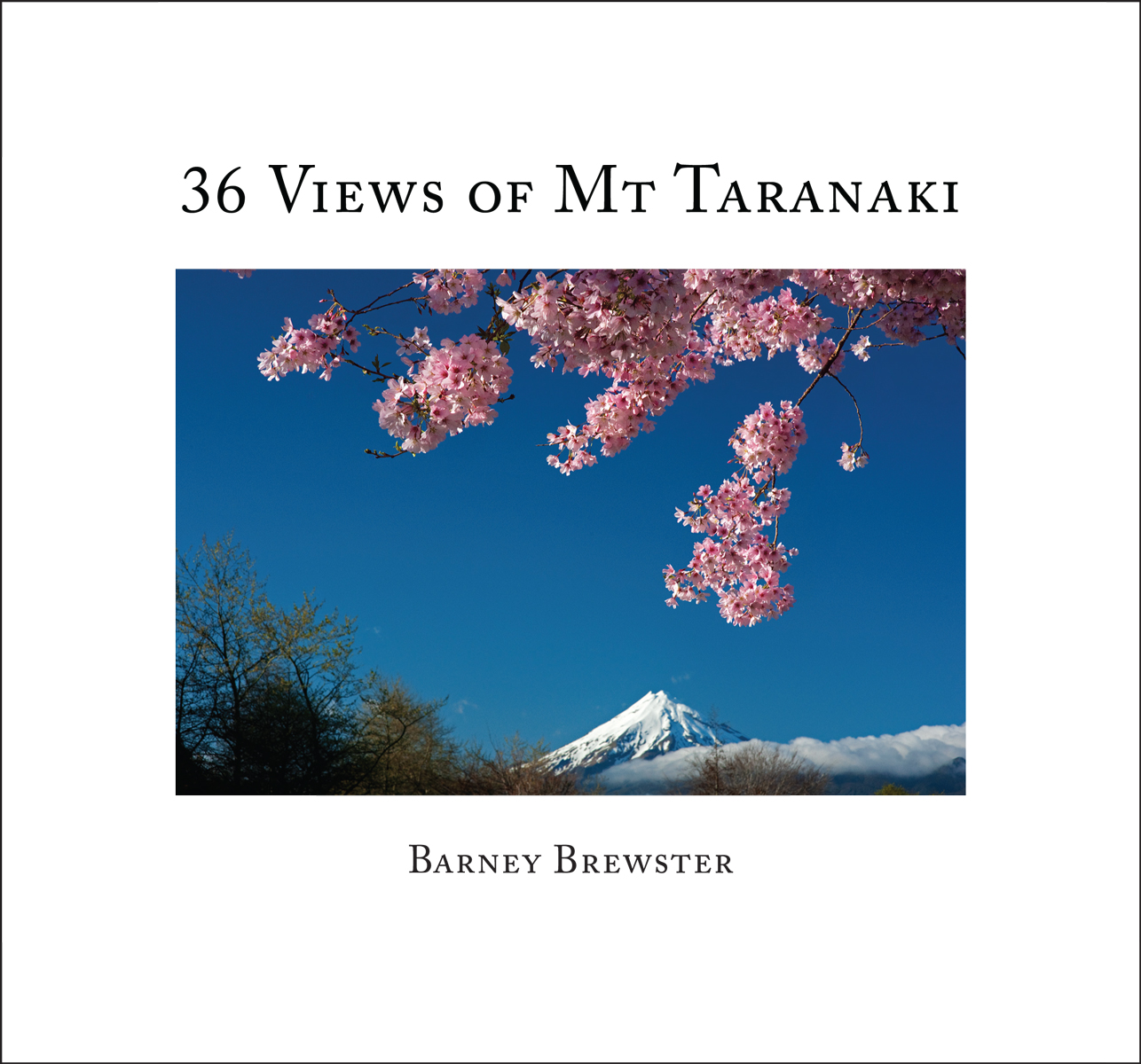 NEWS: 49 Views of Mt Taranaki