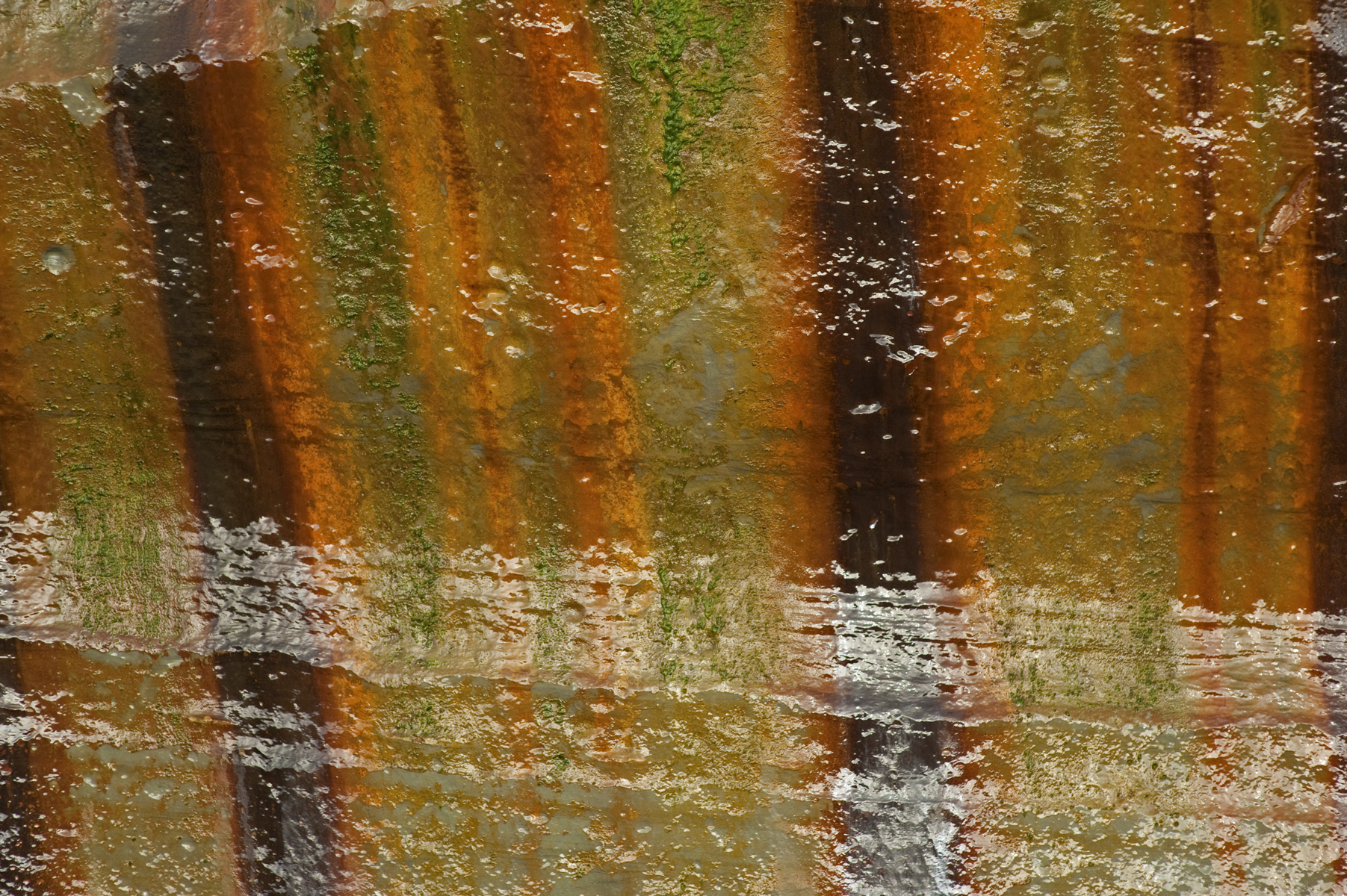 Abstract 2: Pukearuhe rockface