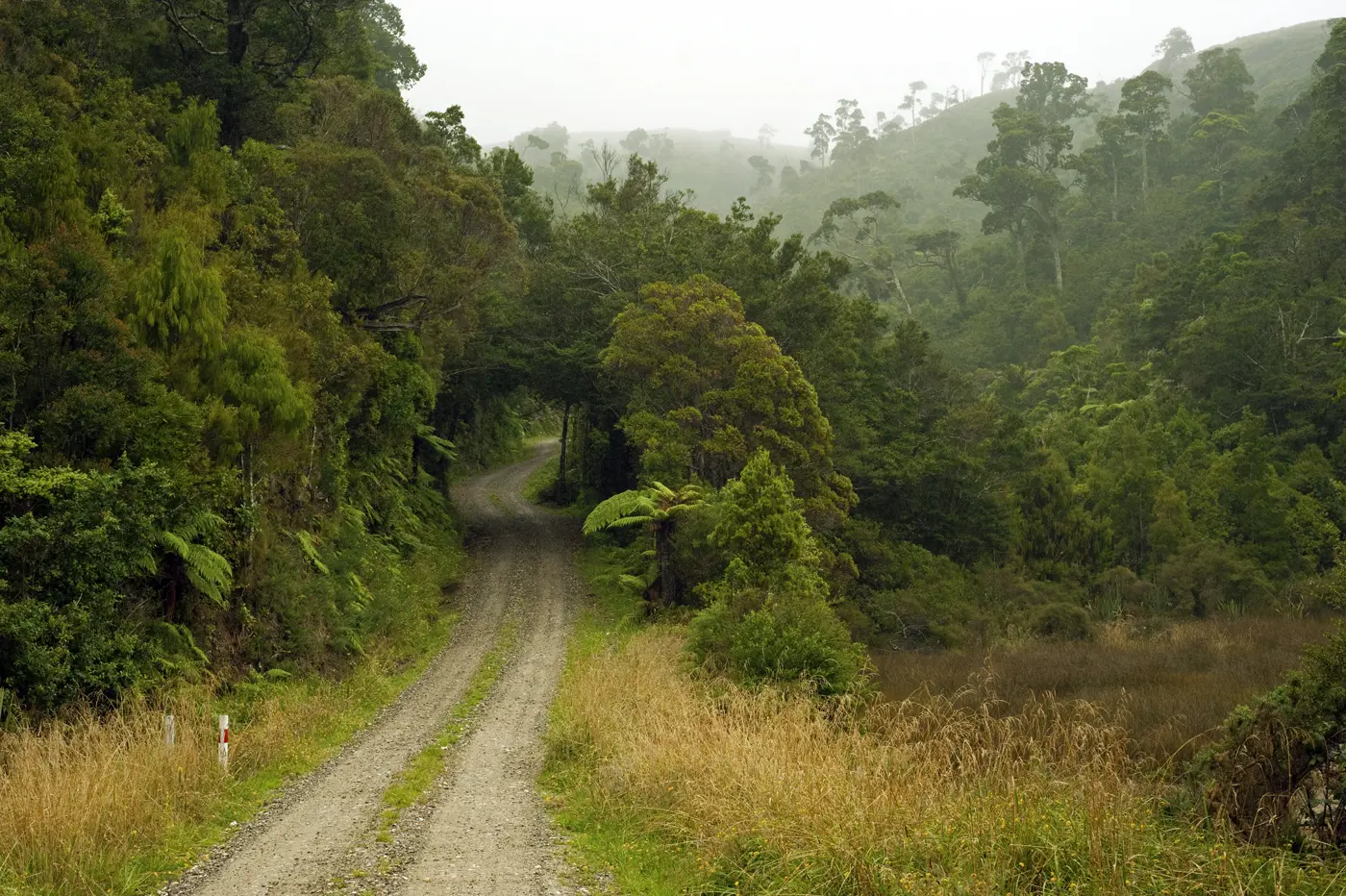 Te Hapu Road, Whanganui Inlet