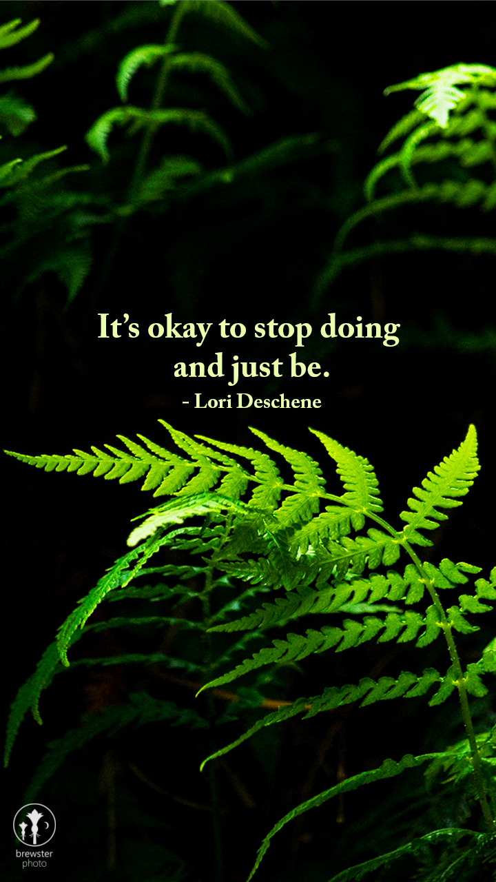 It’s okay to stop doing and just be. - Lori Deschene
