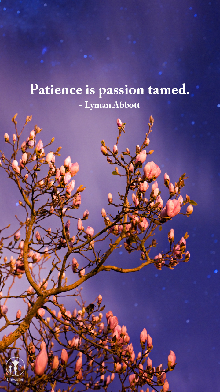 Patience is passion tamed. - Lyman Abbott