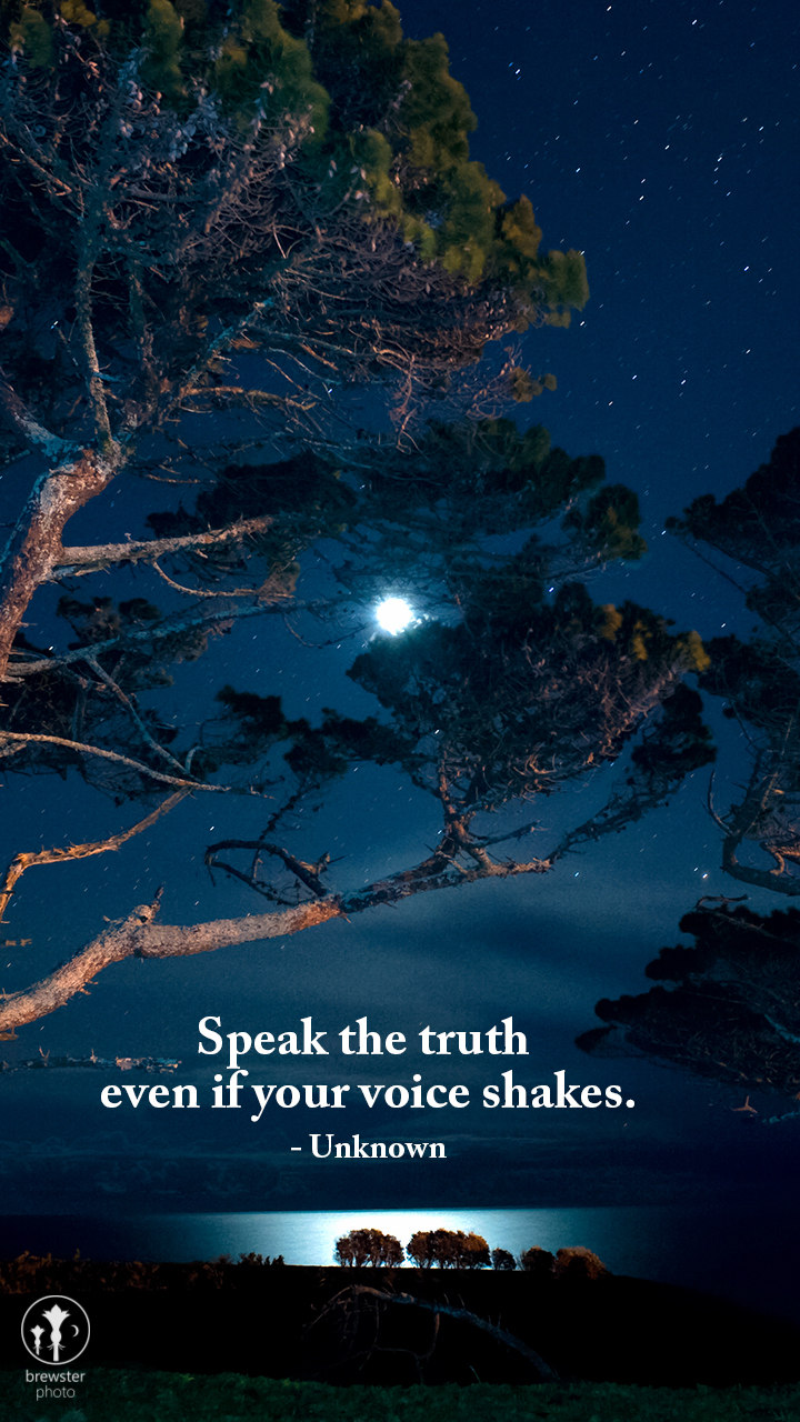 Speak the truth even if your voice shakes.- Unknown