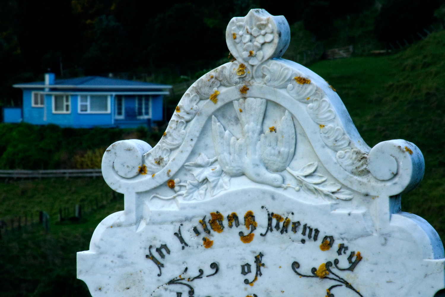 Memento mori 9: In loving memory