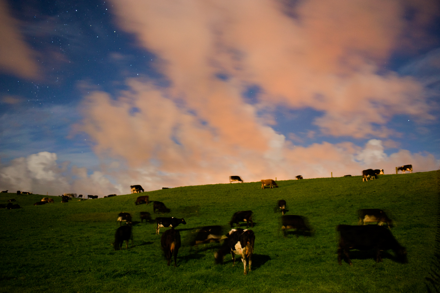 Moonlight on Otaraoa Rd, Taranaki