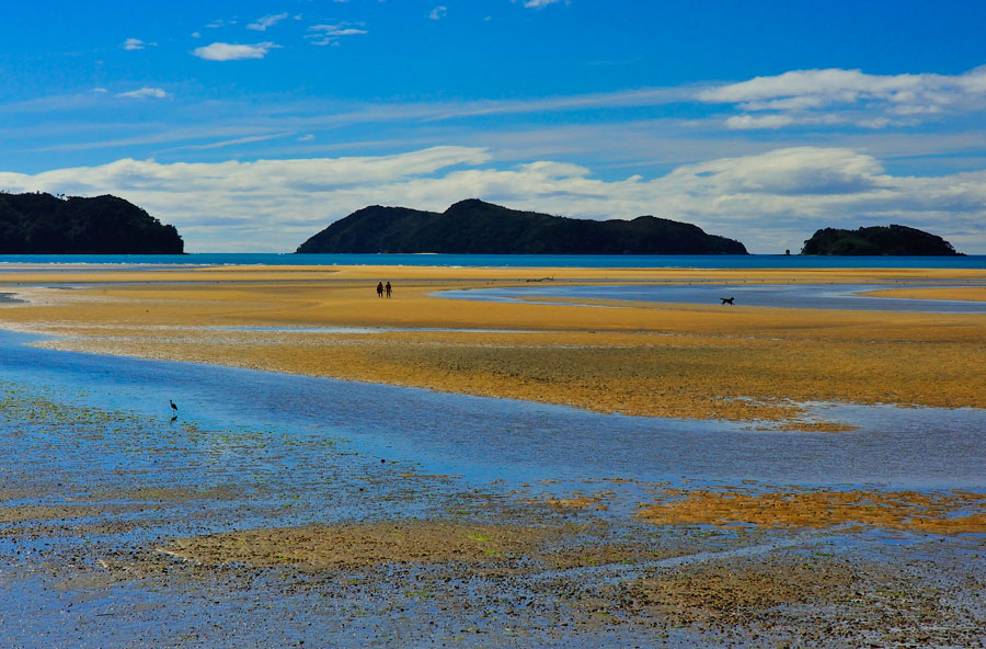 Modest Epiphanies: Low tide at Marahau